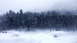南馬宿村の厳しい冬